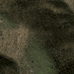 Satellite imagery of Daniel Ridge, US
