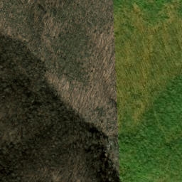 Satellite imagery of Daniel Ridge, US