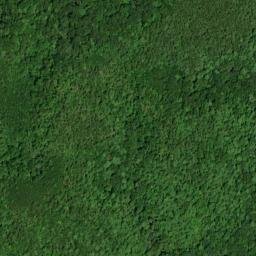Satellite imagery of Round Top North Workings, US