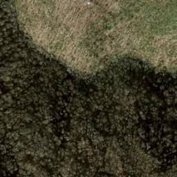 Satellite imagery of Fork Ridge, US