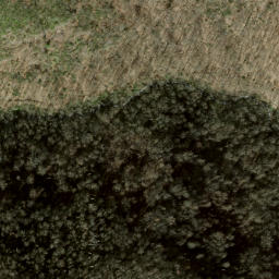 Satellite imagery of Fork Ridge, US