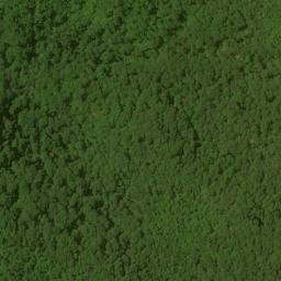Satellite imagery of Rattlesnake Ridge, US