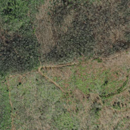 Satellite imagery of Panther Ridge, US