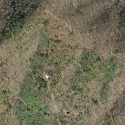Satellite imagery of Panther Ridge, US
