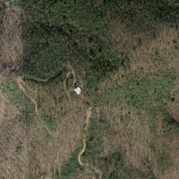 Satellite imagery of Panther Ridge, US