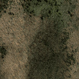 Satellite imagery of Courthouse Ridge, US