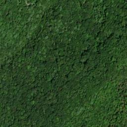 Satellite imagery of Wildcat Creek Workings, US