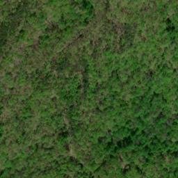 Satellite imagery of Maple Camp Lead, US
