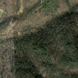 Satellite imagery of Panther Ridge, US