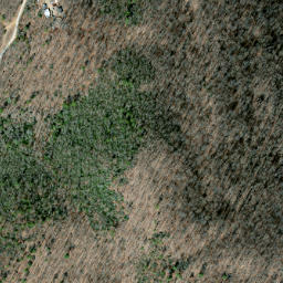 Satellite imagery of Long Ridge, US