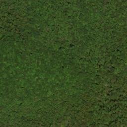 Satellite imagery of Rough Ridge, US