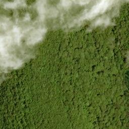 Satellite imagery of Chestnut Ridge, US