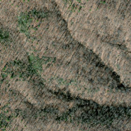 Satellite imagery of Long Ridge, US