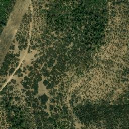 Satellite imagery of Dir Semaïnia, DZ