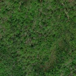 Satellite imagery of Maple Camp Lead, US