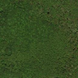 Satellite imagery of Rough Ridge, US