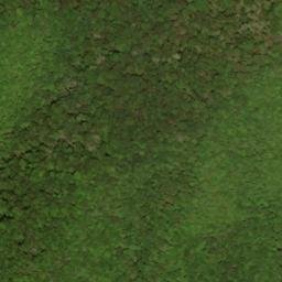 Satellite imagery of Rough Ridge, US