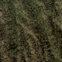 Satellite imagery of Deerlick Ridge, US