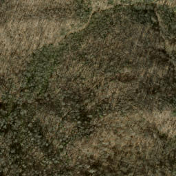 Satellite imagery of Deerlick Ridge, US