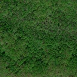 Satellite imagery of Chinquapin Ridge, US