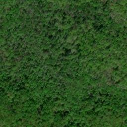 Satellite imagery of Chinquapin Ridge, US