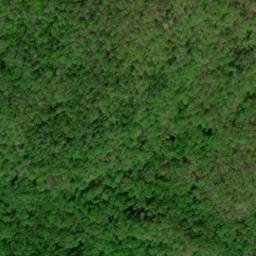 Satellite imagery of Chinquapin Ridge, US