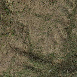 Satellite imagery of Peckerwood Ridge, US
