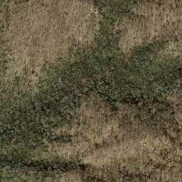 Satellite imagery of Peckerwood Ridge, US