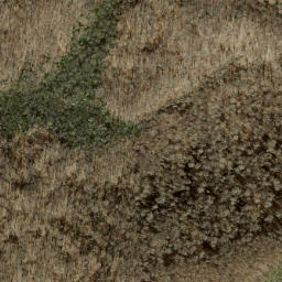 Satellite imagery of Peckerwood Ridge, US