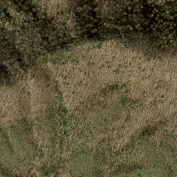 Satellite imagery of Deerlick Ridge, US