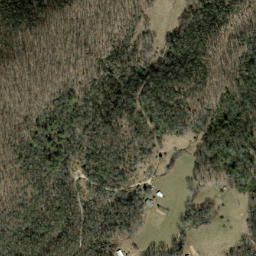 Satellite imagery of Neddie Mountain, US