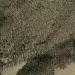 Satellite imagery of Neddie Mountain, US