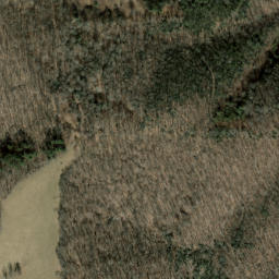 Satellite imagery of Neddie Mountain, US