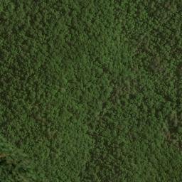 Satellite imagery of Picklesimer Fields, US