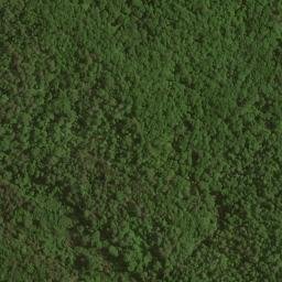 Satellite imagery of Picklesimer Fields, US