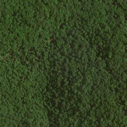 Satellite imagery of Picklesimer Fields, US