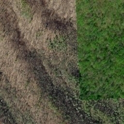 Satellite imagery of Buckeye Ridge, US