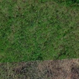 Satellite imagery of Buckeye Ridge, US