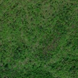 Satellite imagery of Chinquapin Ridge, US
