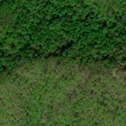 Satellite imagery of Chinquapin Ridge, US