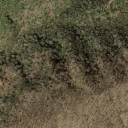 Satellite imagery of Peckerwood Ridge, US