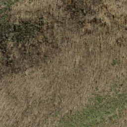 Satellite imagery of Peckerwood Ridge, US