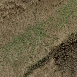 Satellite imagery of Peckerwood Ridge, US