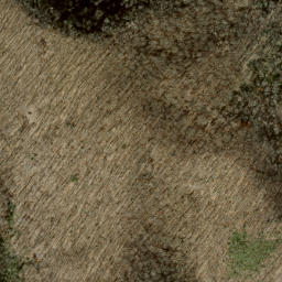 Satellite imagery of Firescald Ridge, US
