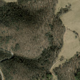 Satellite imagery of Neddie Mountain, US