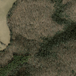 Satellite imagery of Neddie Mountain, US