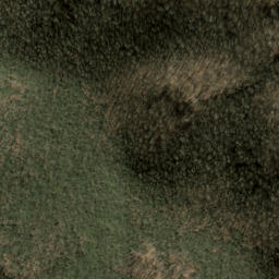 Satellite imagery of Big Fork Ridge, US