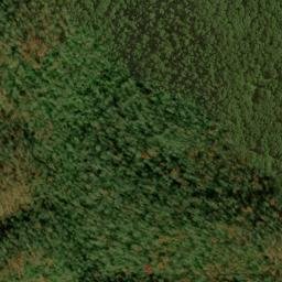 Satellite imagery of Picklesimer Fields, US
