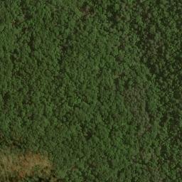Satellite imagery of Picklesimer Fields, US