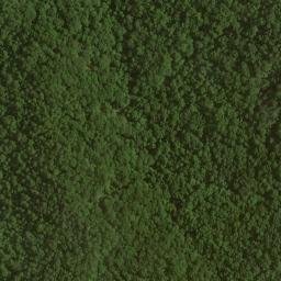 Satellite imagery of Picklesimer Fields, US